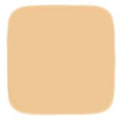 Noevir N5 Treatment 2-Way Foundation LX (Refill Only)