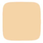 Noevir N5 Treatment 2-Way Foundation LX (Refill Only)