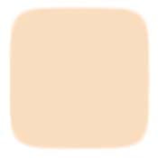 Noevir N5 Treatment 2-Way Foundation LX (Refill Only)